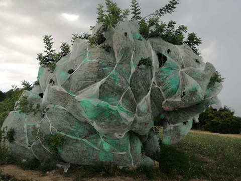 Image Not Found On Media Library