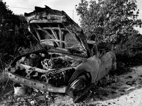 Image Not Found On Media Library