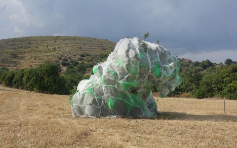 Image Not Found On Media Library