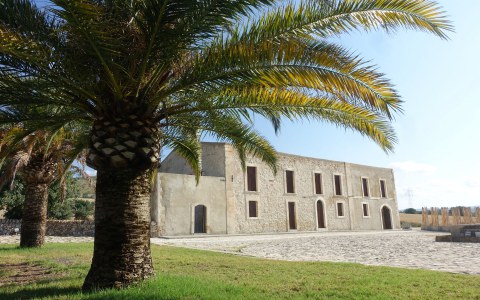 Image Not Found On Media Library