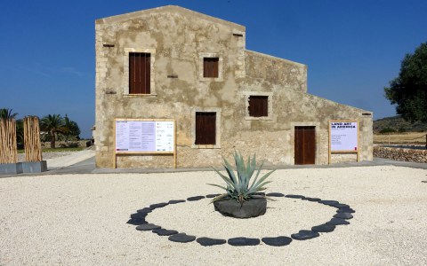 Image Not Found On Media Library