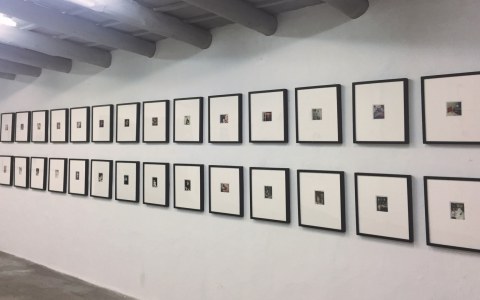 Image Not Found On Media Library