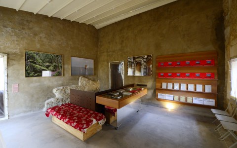 Image Not Found On Media Library