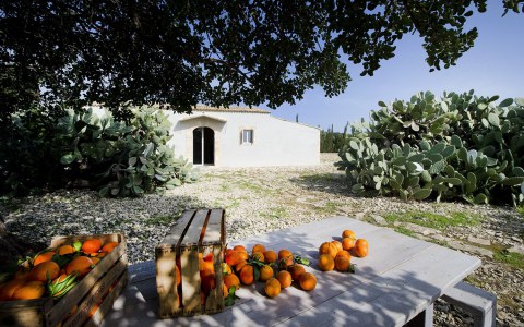 Image Not Found On Media Library