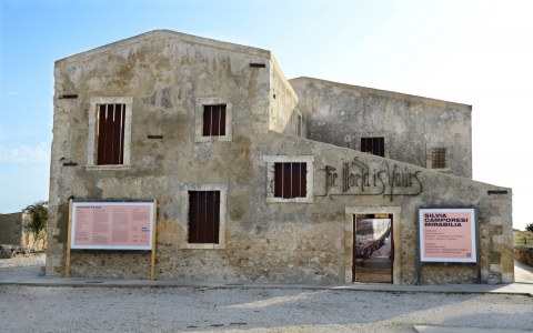 Image Not Found On Media Library